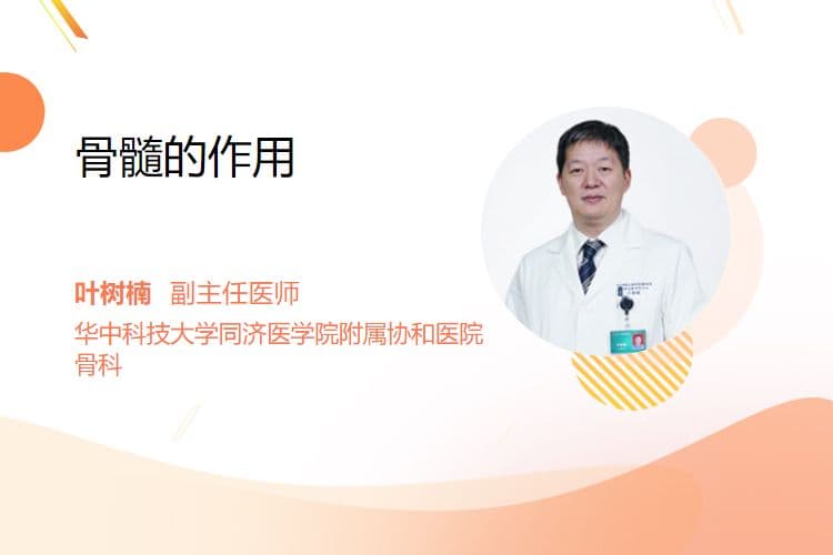 骨髓的作用