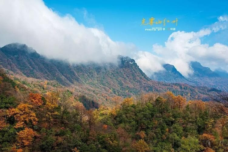 社会福利政策：如何影响国民生活与经济发展