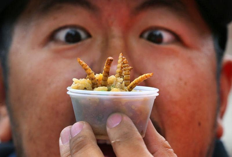 蚂蚁吃起来是什么味道？云南人说又酸又脆，墨西哥人说是坚果味