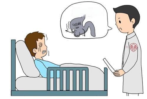 宠物肠胃炎呕吐怎么办？快速应对指南