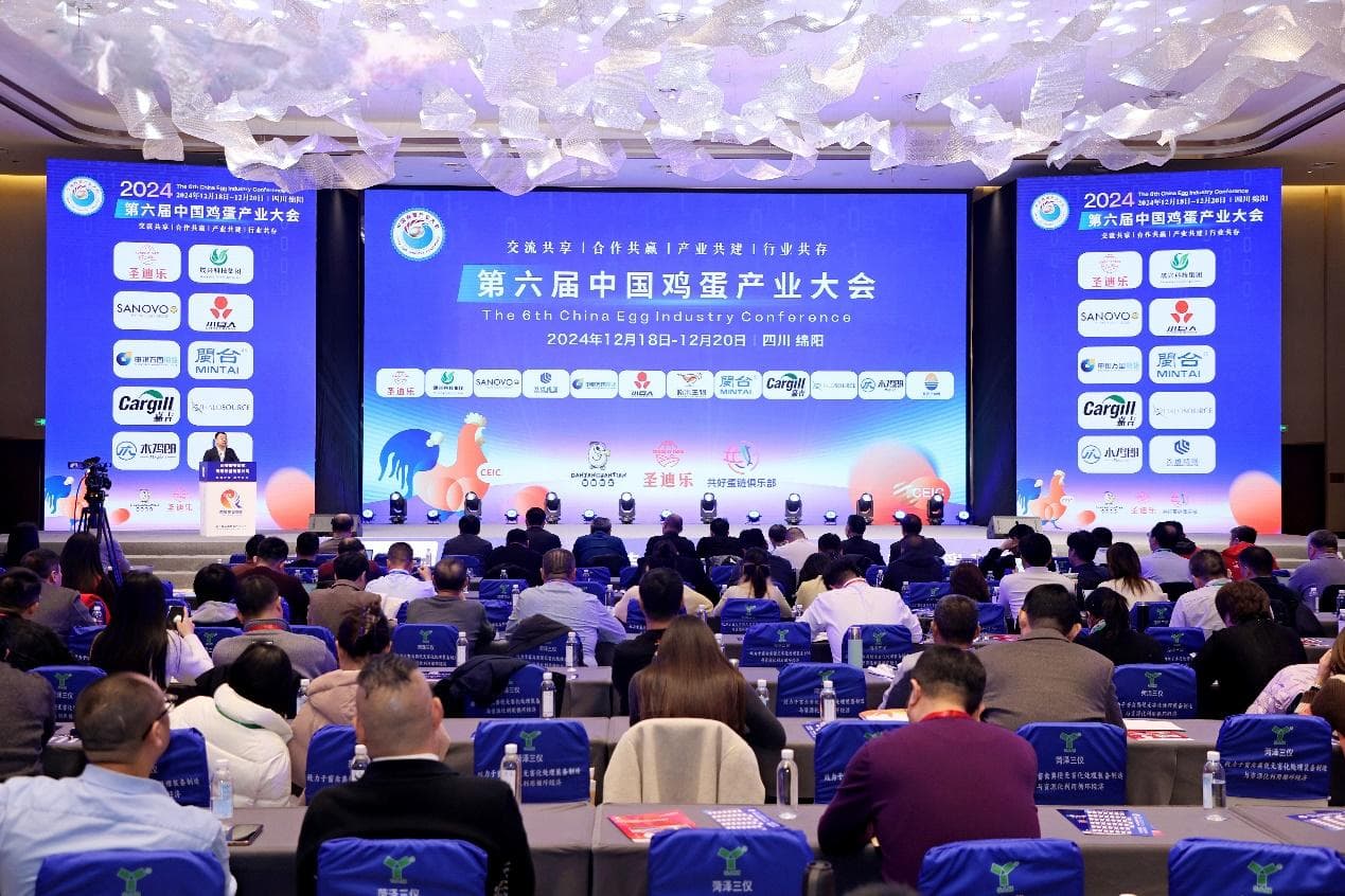 微利时代，鸡蛋产业如何稳健前行？