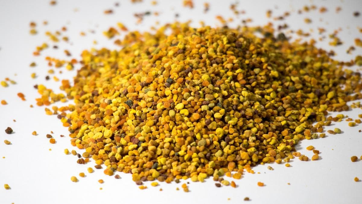 蜂花粉干燥和贮存保鲜技术