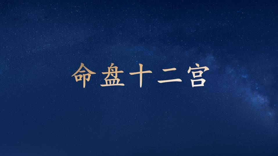 紫微斗数零基础入门：命盘十二宫位详解