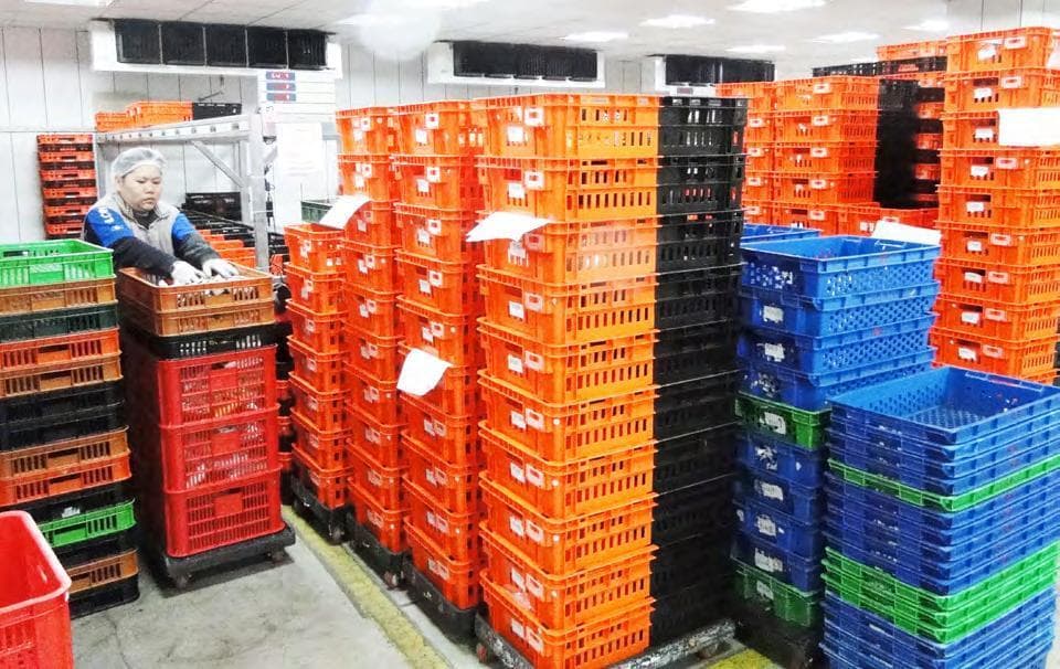 食品饮料供应链迎多重挑战，四大策略助力企业破局