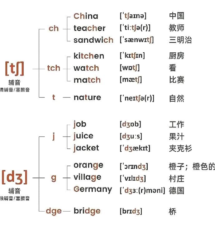 一张图学会英语音标、发音、词性