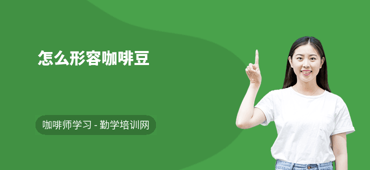 怎么形容咖啡豆
