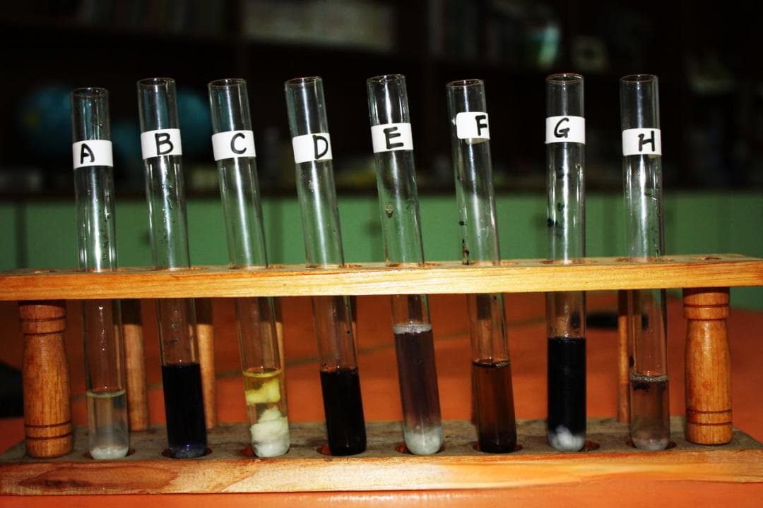 淀粉遇碘变色原理：两种理论的科学解释