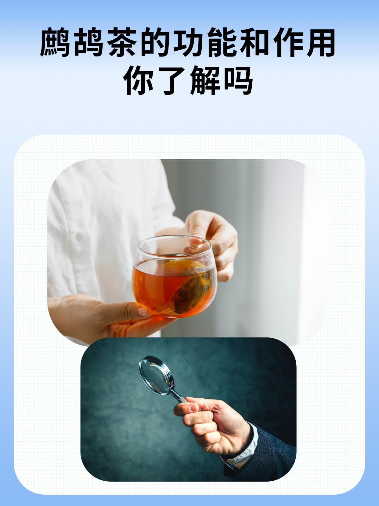 鹧鸪茶的功能和作用，你了解吗？