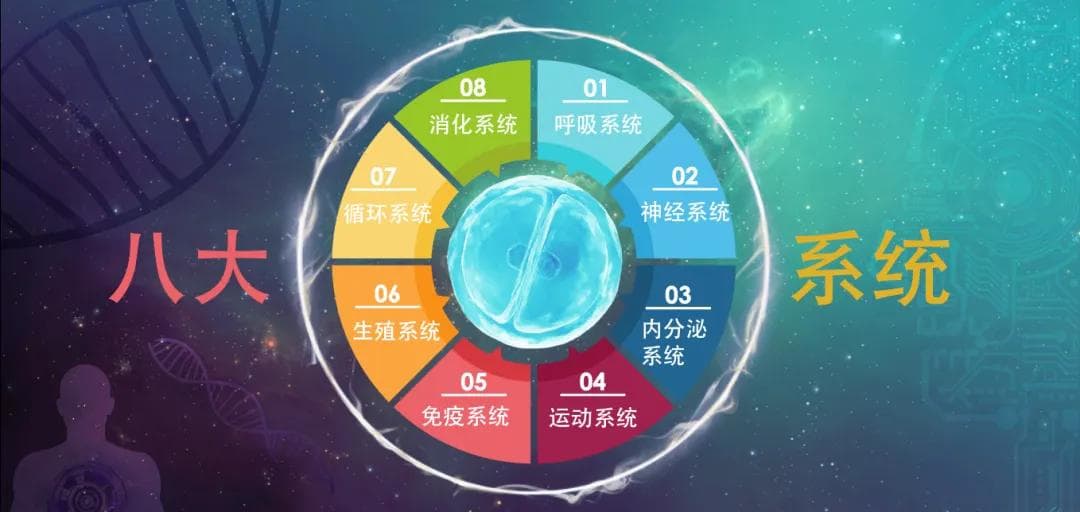 干细胞疗法：在人体八大系统200多种疾病治疗临床应用