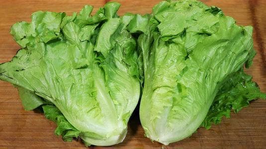 生菜的营养价值与功效：从补充营养到保护眼睛