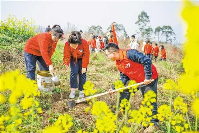 森林覆盖率55.06% 重庆如何“植”出