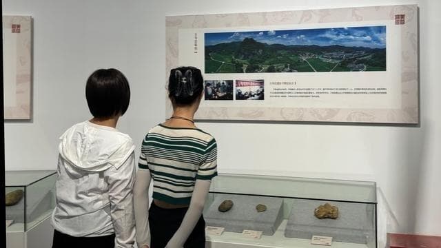 暑期来武汉旅游，很多家长带娃在武大“打卡”