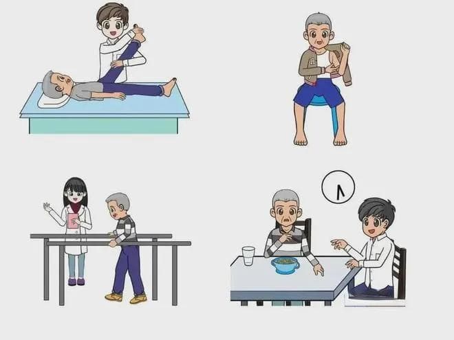 世界物理治疗日：探索物理治疗与腰痛的奥秘