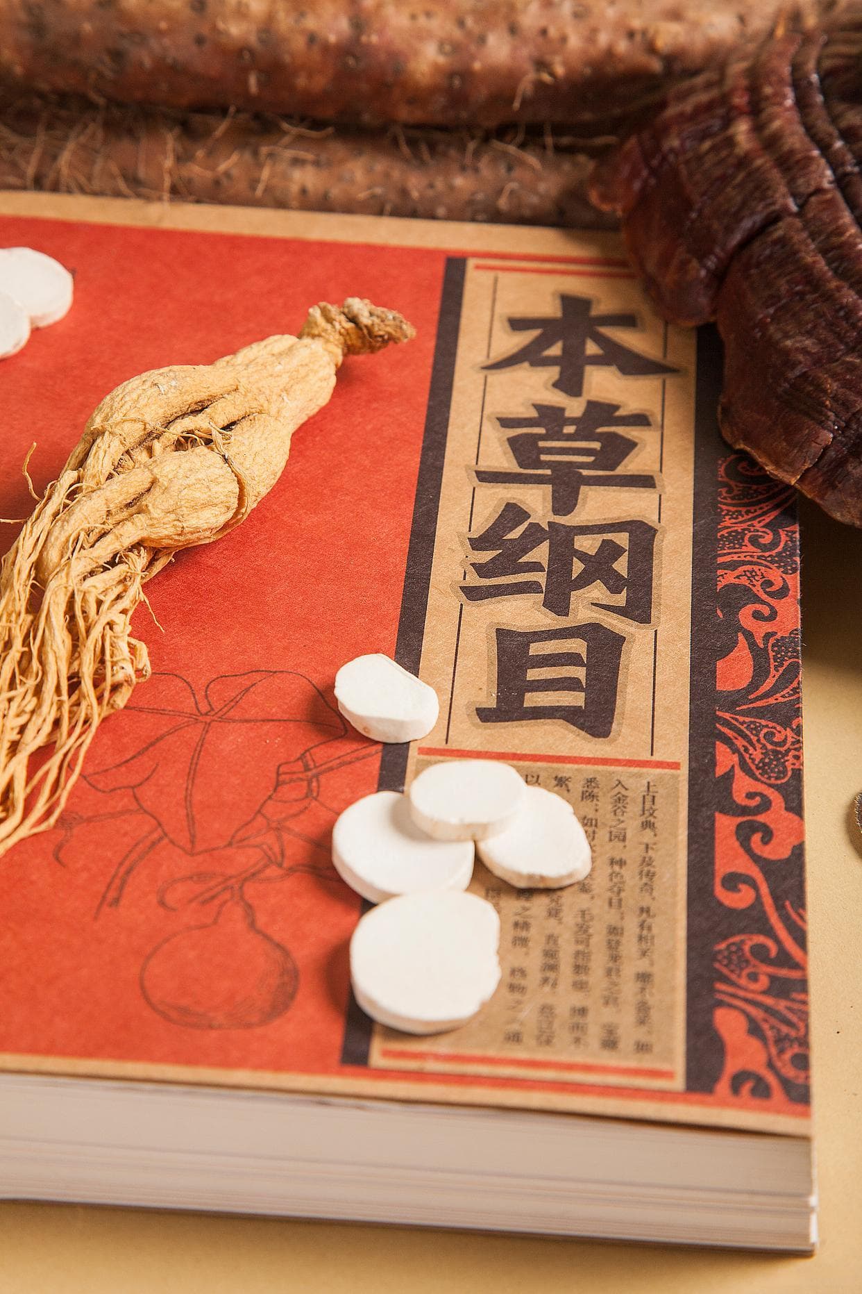肉桂临床应用全解析：从引经药到配伍应用