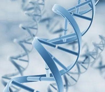 揭秘HNPCC综合征：遗传特征与预防攻略