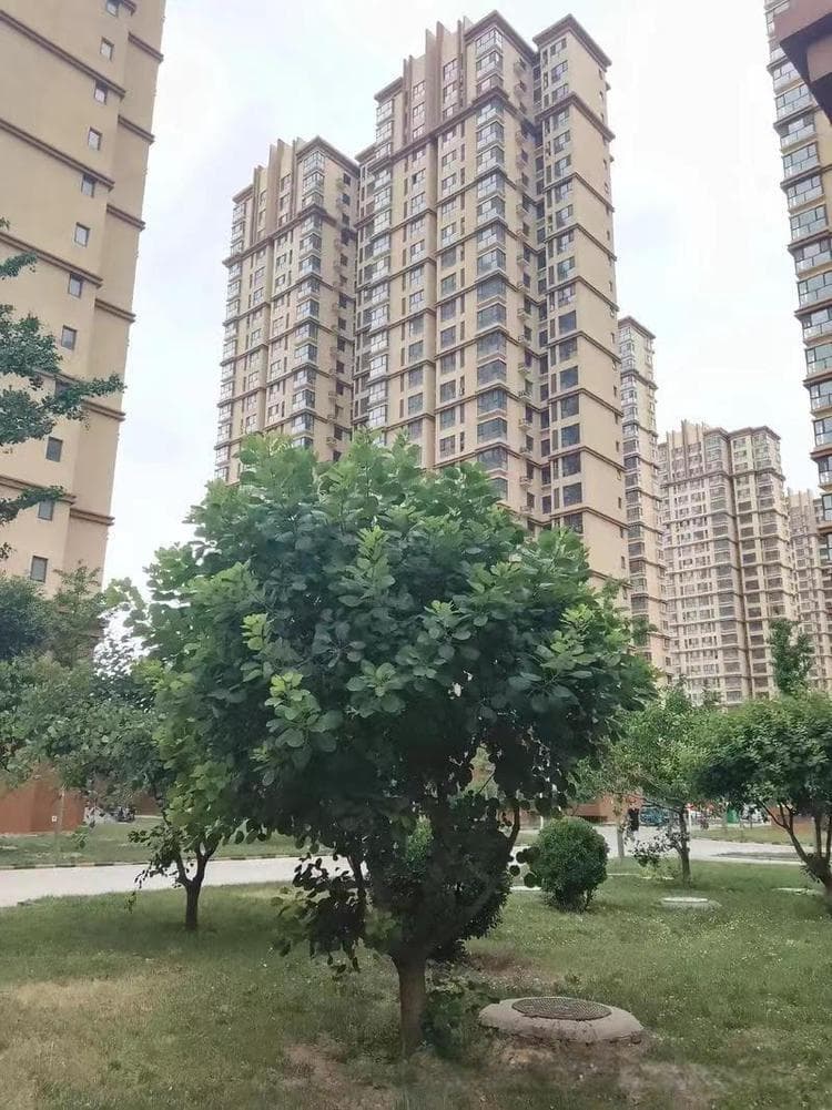 奇门遁甲与宅地风水：如何选择最适宜的家园