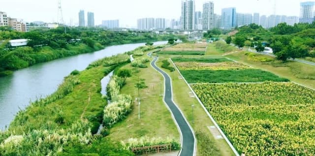 产业协同 基建共享 惠阳大亚湾加速融合共建城市副中心