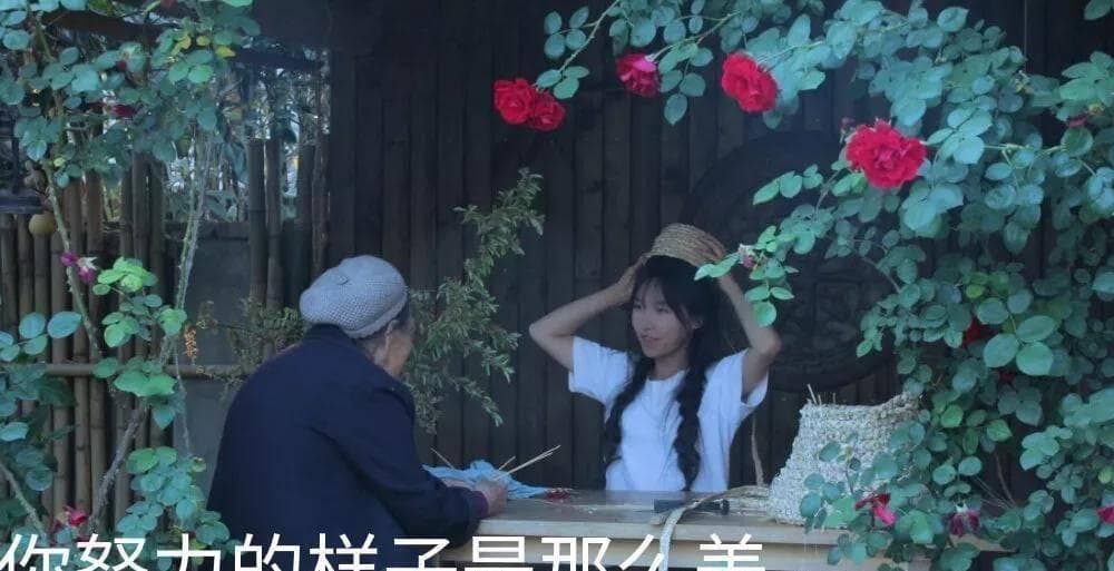 李子柒爆火背后的传统文化密码