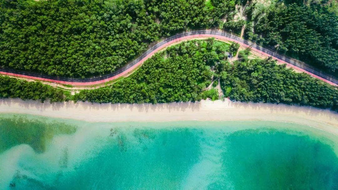 跨海出游路更畅！海南这样做→