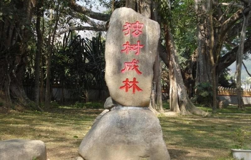瑞丽十大景点：边境风情与自然奇观