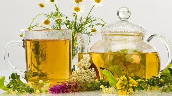 澄清：茉莉花茶到底是不是绿茶？
