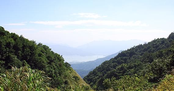 复合挽回塔罗牌方法
