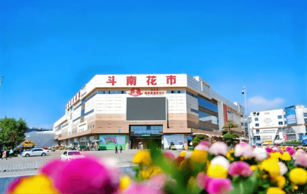 这里是呈贡 | 浪漫花都的“文化味”与“烟火气”