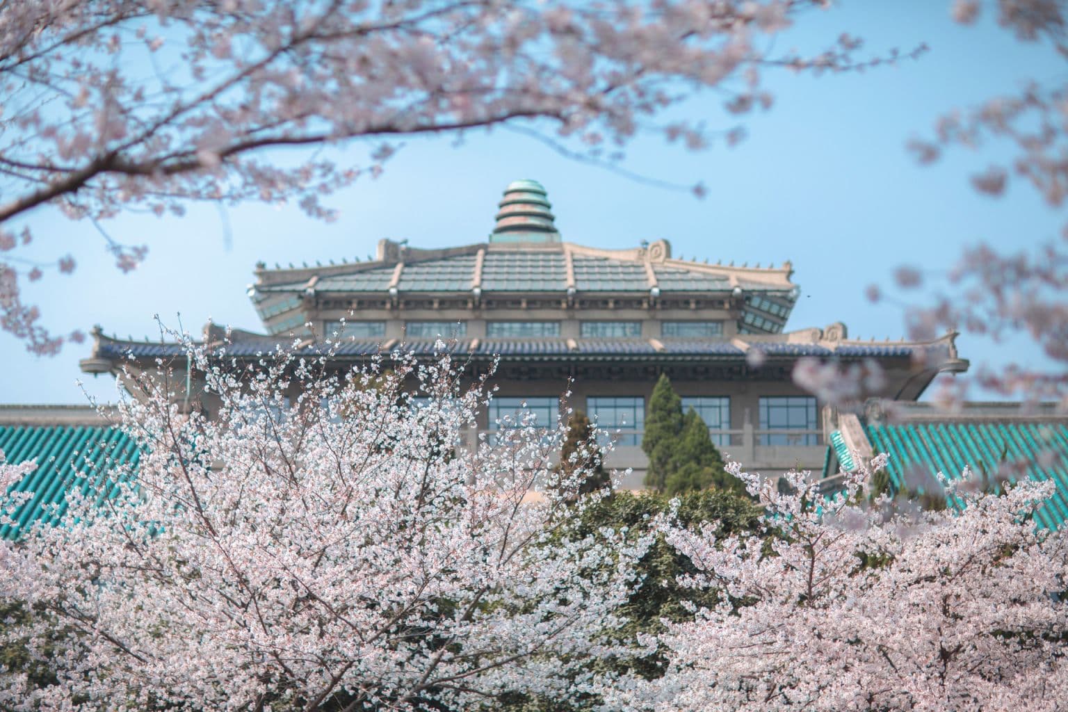 武汉大学进校攻略（时间+入口）