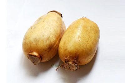 桓台县十大特产
