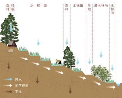 山顶没水库，云南红河哈尼梯田为何不缺水？