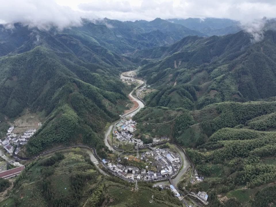 黄山毛峰、祁门红茶开采上市，为什么这么抢手？
