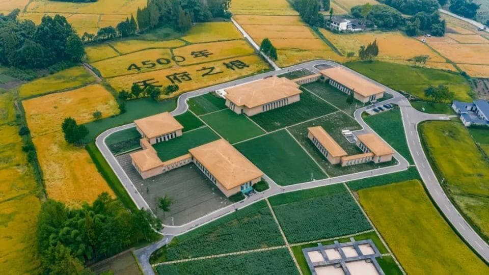 成都平原最早的城市文明：宝墩遗址的考古发现与古蜀文明起源