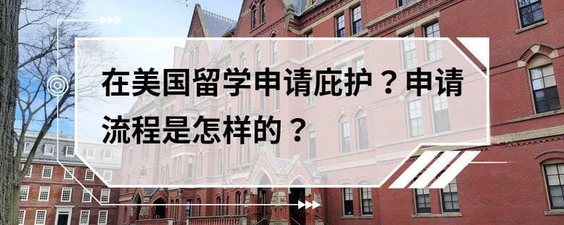 在美国留学申请庇护？申请流程是怎样的？