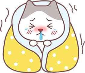 如何在家治疗和护理猫杯状病毒感染？