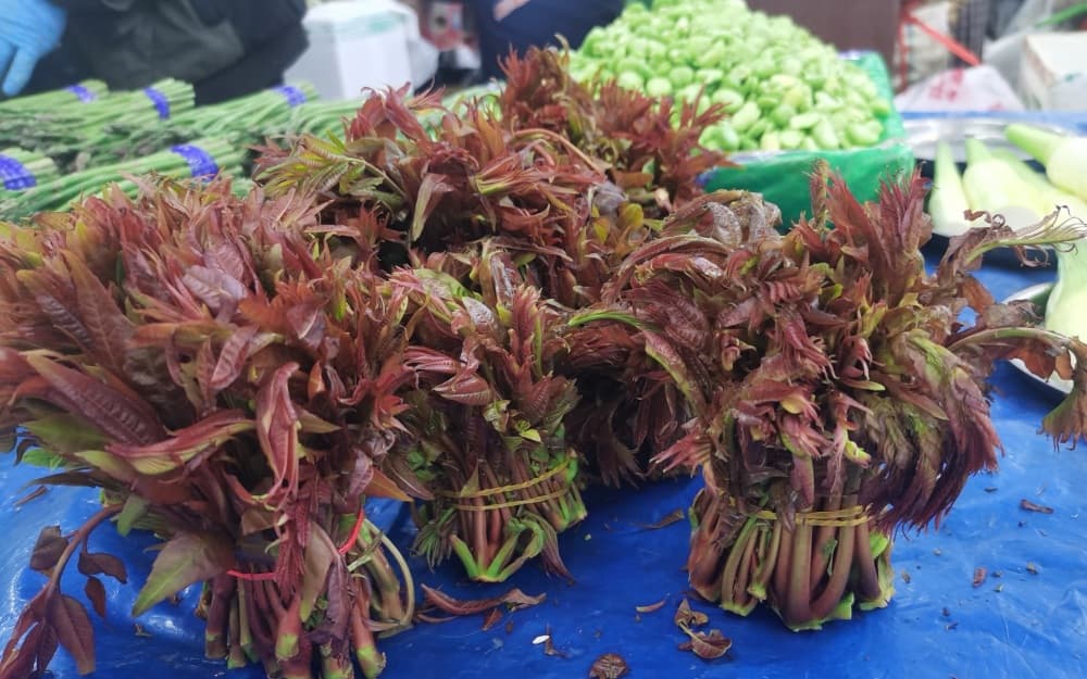 春分宜尝鲜嫩“春菜”，驴打滚等美食也别错过！