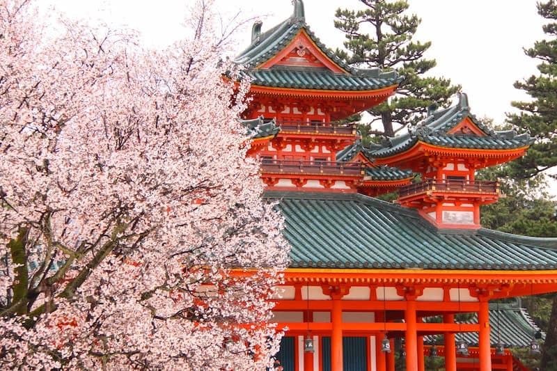 [2024] 京都必去的10处赏樱胜地