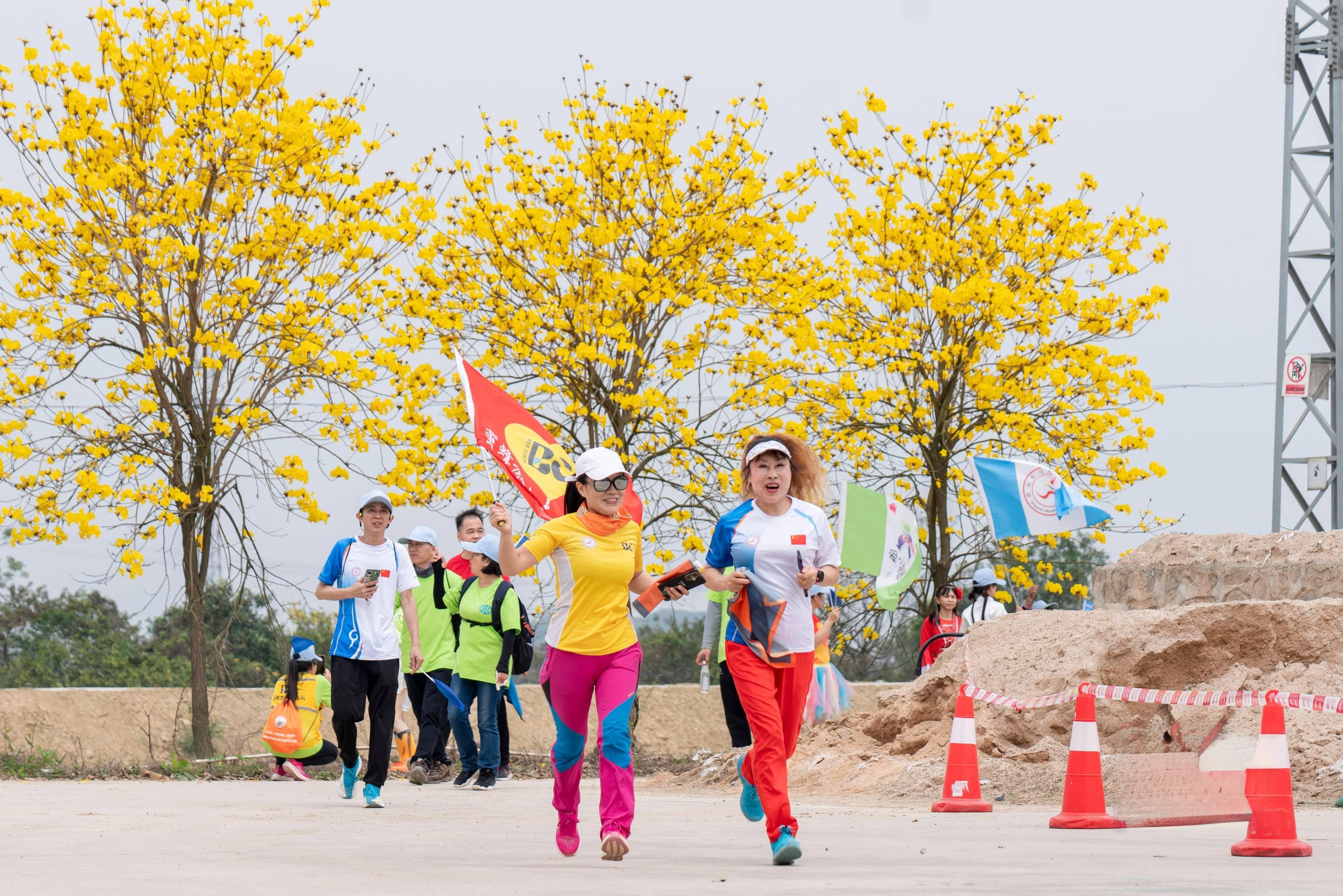 兴水惠民，遇“健”未来｜清新为实施“百千万工程”提供坚强水保障