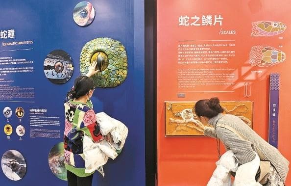 “神秘蛇境”探蛇年蛇影