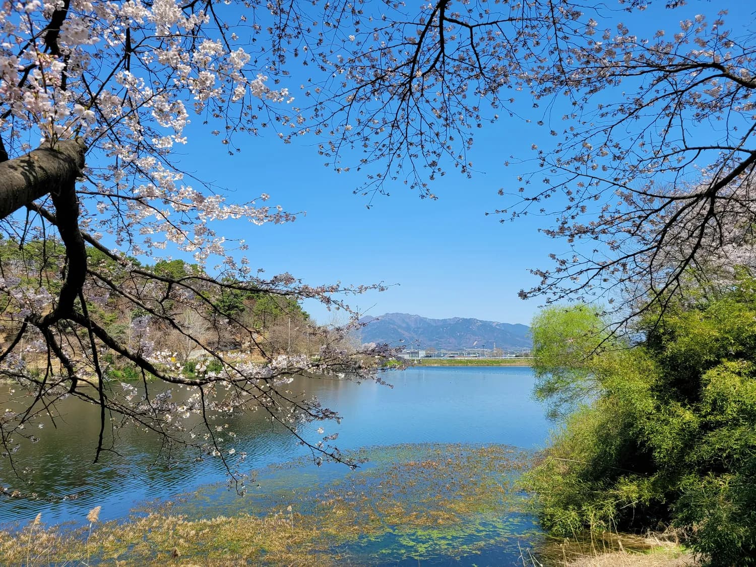 石嘴山星海湖：四季美景不容错过