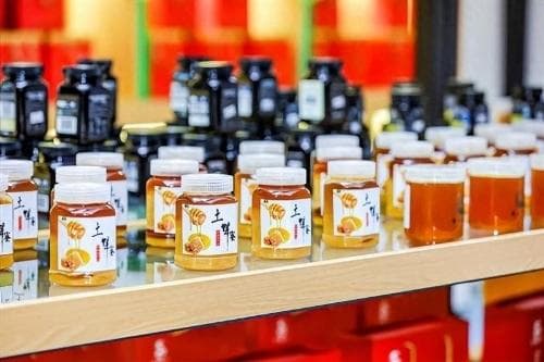 鸭脚木蜜：岭南山林的冬日馈赠，甜蜜且治愈