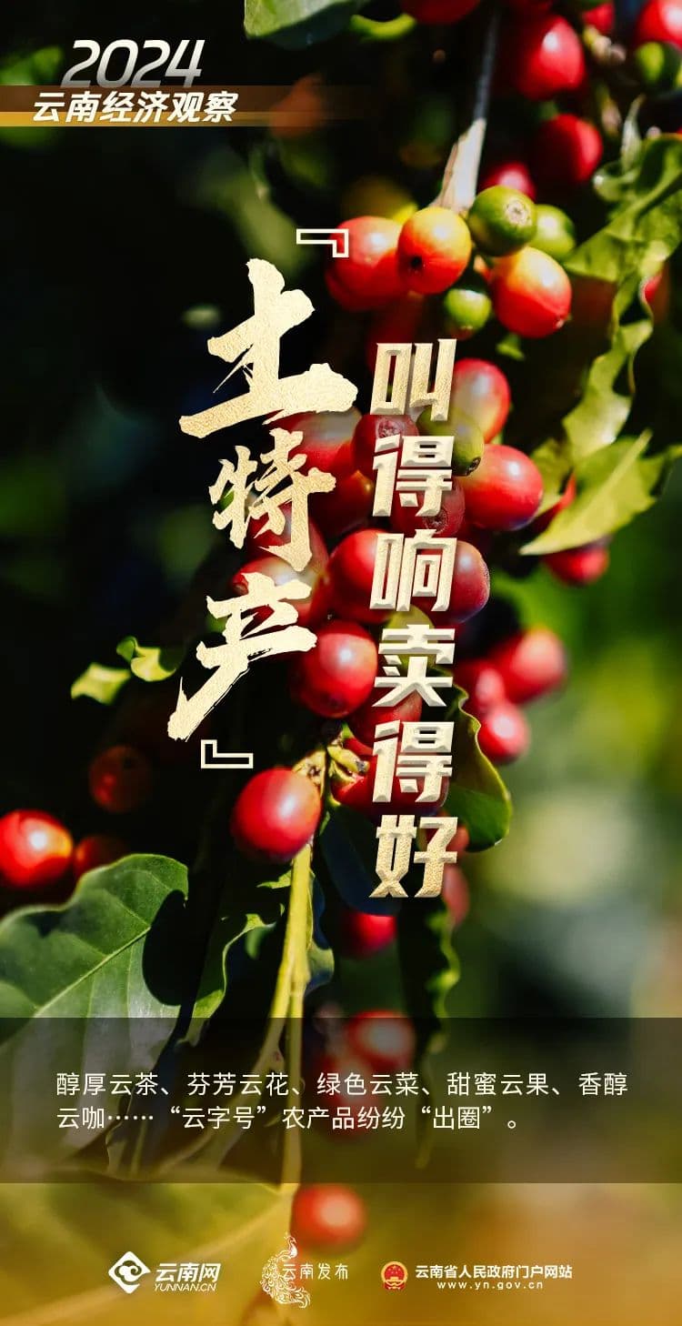云南“土特产”叫得响卖得好