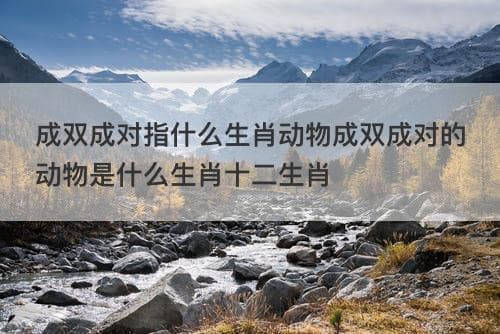 十二生肖中的"成双成对"：哪些动物寓意着幸福和谐？