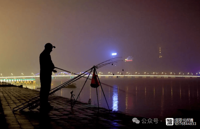 夜钓的魅力：月光下的神秘邂逅