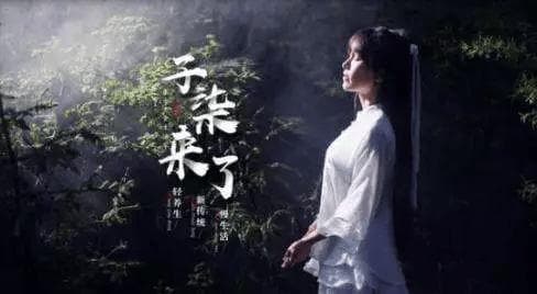 李子柒：以传统文化之美征服世界的东方美食生活家