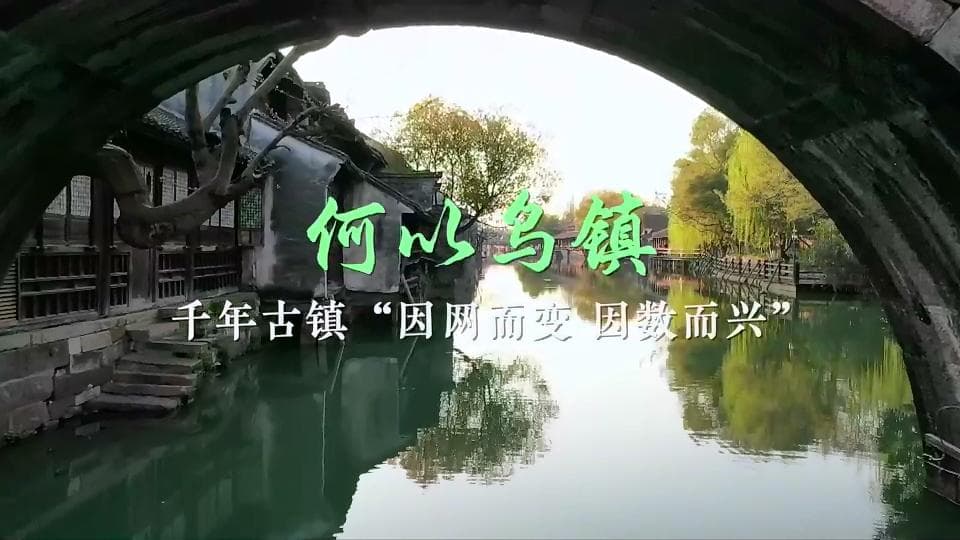 乌镇“网事”丨记者观察：何以乌镇——千年古镇“因网而变、因数而兴”