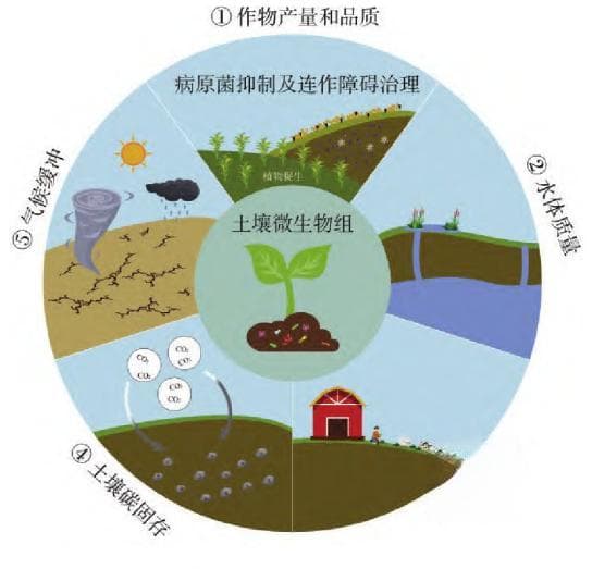 旱区土壤微生物组与土壤健康的关系