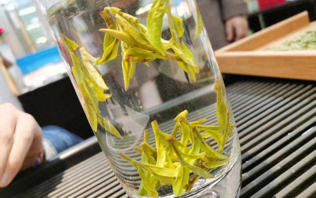 中国绿茶十大名茶排名 ，你喝过几款？