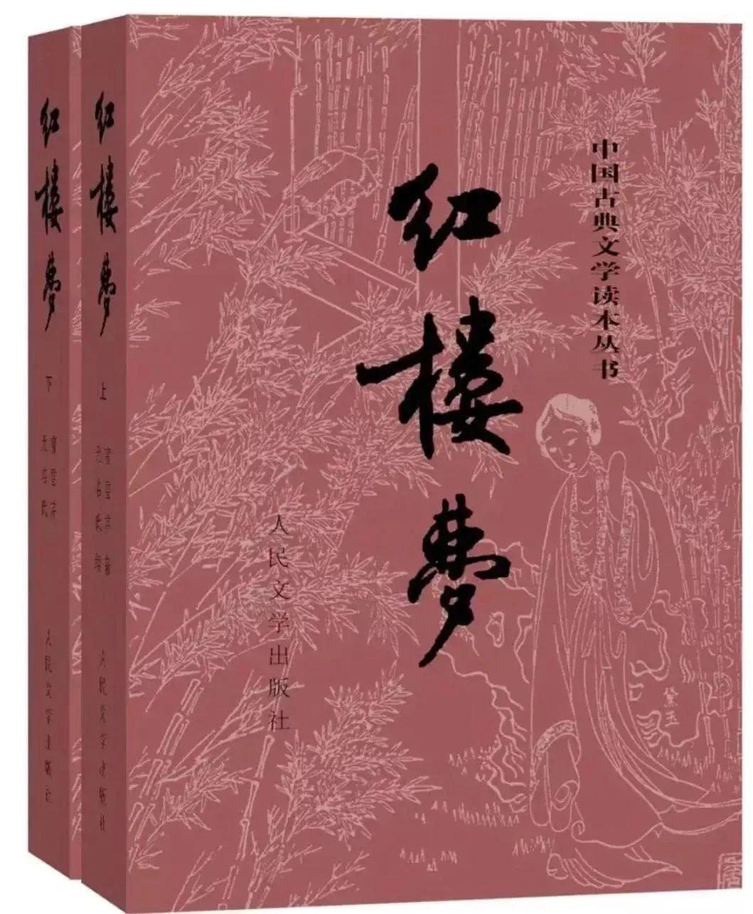 文学的双刃剑：批判与颂扬的交响