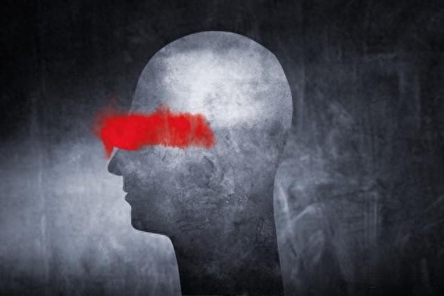 探索梦里的神秘符号第一期：梦见动物？潜意识在向你传递这些信息！