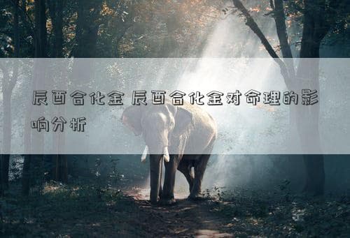 辰酉合化金：八字命理中的智慧与财富密码